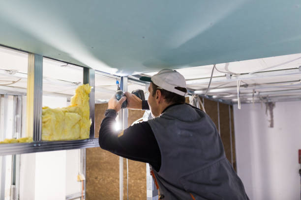 Best Commercial Insulation Contractor  in New Athens, IL