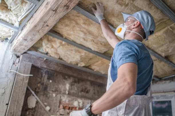 Best Attic Insulation Installation  in New Athens, IL