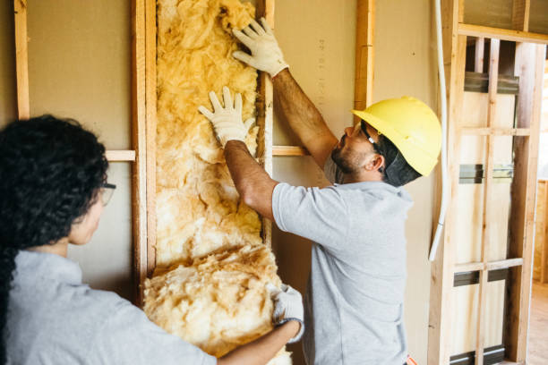 Attic Insulation Near Me in New Athens, IL