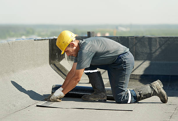 Best Home Insulation Services  in New Athens, IL