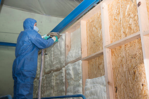 Insulation Replacement Services in New Athens, IL