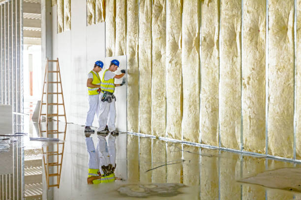 Best Best Insulation Companies  in New Athens, IL